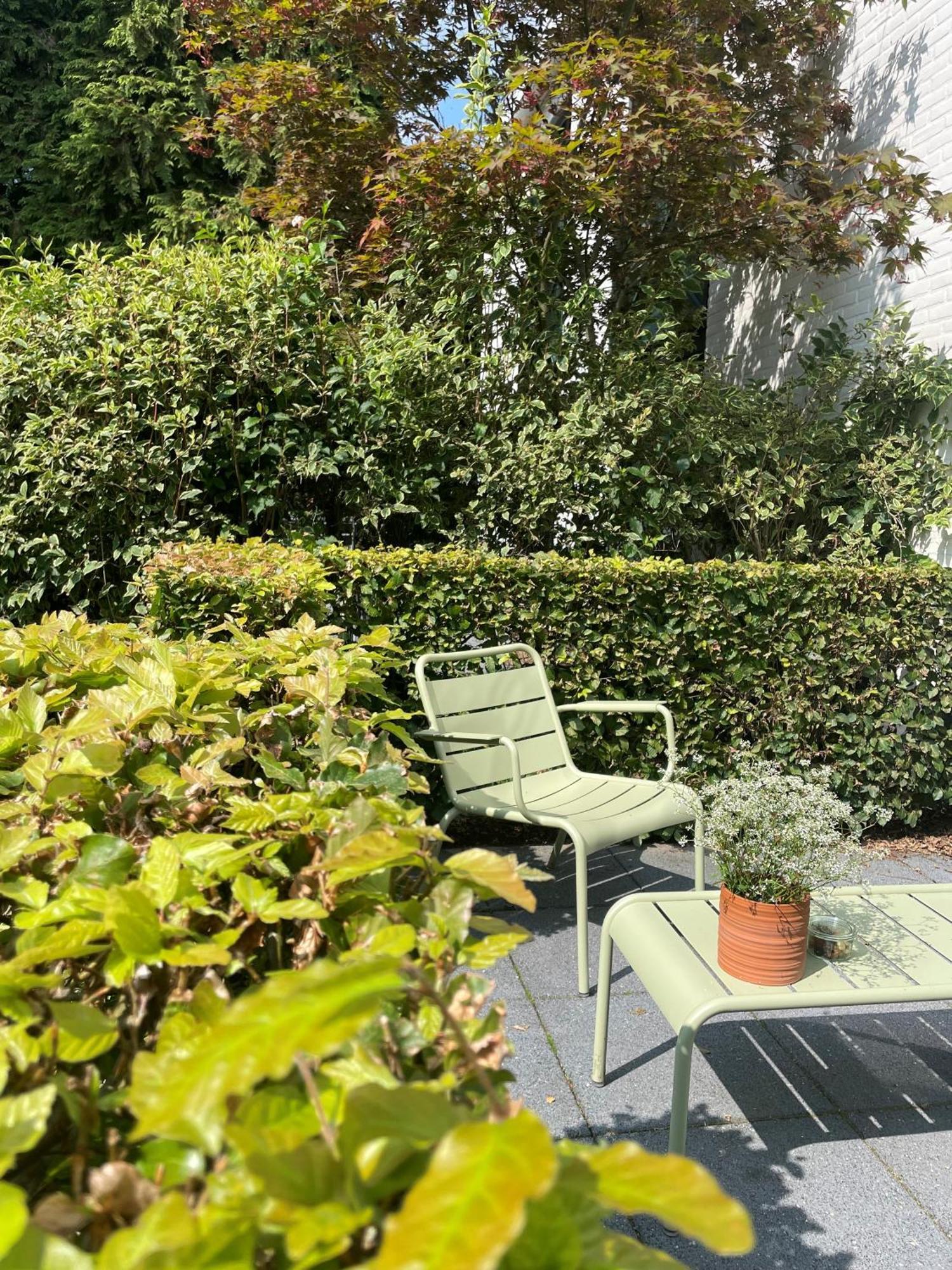Witte Berken Natuurhotel Epe Eksteriør billede