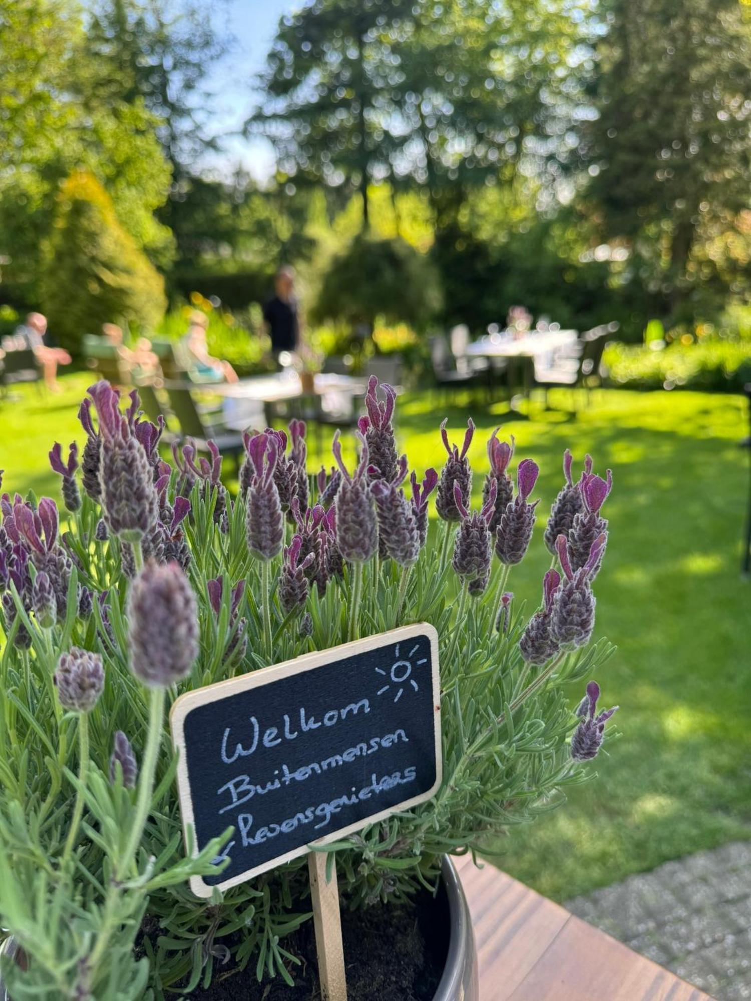 Witte Berken Natuurhotel Epe Eksteriør billede