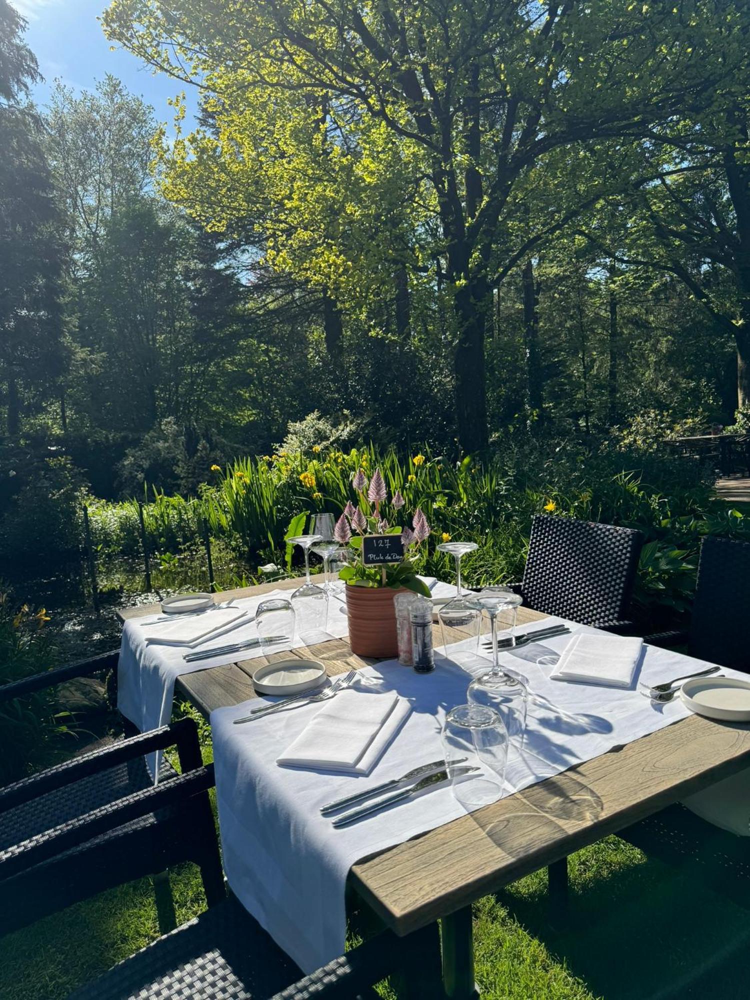 Witte Berken Natuurhotel Epe Eksteriør billede